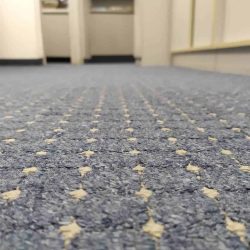 ניקוי שטיחים במשרדים צילום תקריב של שטיח - מבריק